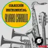 Bossanova Orquesta - Alvaro Carrillo Colección Instrumental